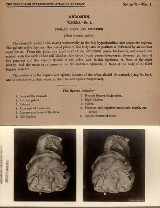 Stereoscopic Studies of Anatomy; Prepared under authority of the University of Edinburgh [Section VI Viscera | Perineum