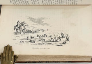 Personal Narrative of Explorations and Incidents in Texas, New Mexico, California, Sonora, and Chihuahua; Connected with the United States and Mexican Boundary Commission during the years 1850, '51, '52, and '53