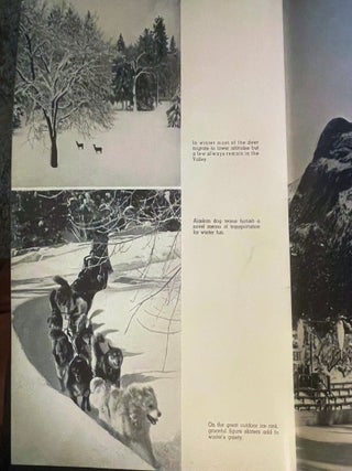 The Four Seasons in Yosemite National Park; A Photographic Story of Yosemite's Spectacular Scenery