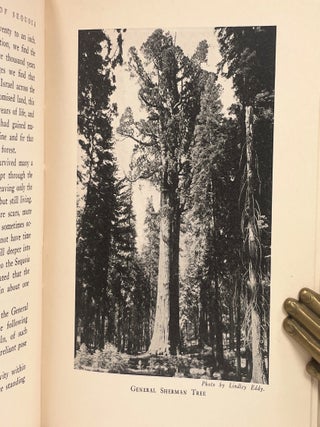 The Lore and The Lure of Sequoia; The Sequoia Gigantea Its History and Description Animals, Geology, Indians and the Story of the Indian Sequoia and the History of Sequoia National Park
