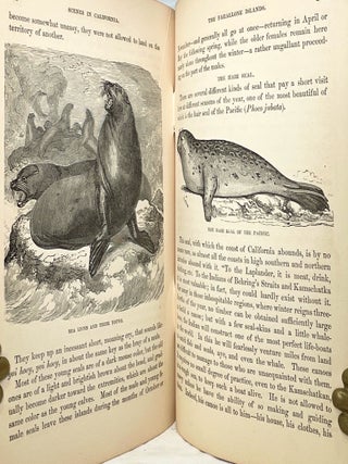 Scenes of Wonder and Curiosity in California. ... A Tourist's Guide to the Yo-Semite Valley,; The Big Tree Groves - The Natural Caves and Bridges - The Quicksilver Mines of New Almaden and Henriquita - Mount Shasta - The Farallone Islands, with their Sea Lions and Birds - The Geyser Springs - Lake Tahoe, and other places of interest. Also Giving Outline Map of Routes to Yo-Semite and the Big Tree Groves - Tables of Distances - Rates of Fair- Hotel Charges, and other desirable information for the Traveller.