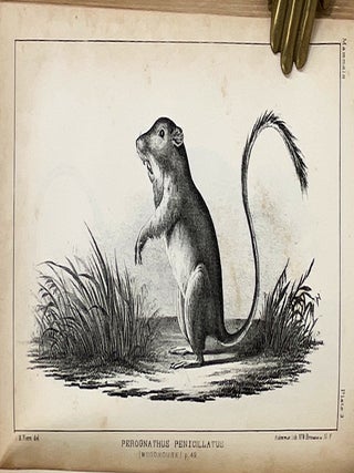 Report of an Expedition Down the Zuni and Colorado Rivers; Accompanied by Maps, Sketches, Views,and Illustrations.] [33d Congress, 1st Session, Senate, Executive (no number)]
