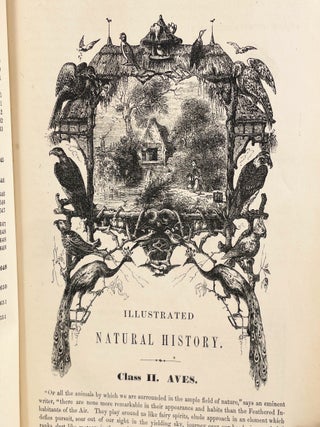 Johnson's Natural History : Comprehensive, Scientific, and Popular, Illustrating and Describing The Animal Kingdom, with its Wonders and Curiosities ... Showing the Habits, Structure, and Classification of Animals, with their Relation to Agriculture, Manufactures, Commerce, and The Arts; [In Two Volumes] [on title page- Beautifully Illustrated with 1,500 Lifelike Engravings]