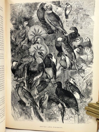 Johnson's Natural History : Comprehensive, Scientific, and Popular, Illustrating and Describing The Animal Kingdom, with its Wonders and Curiosities ... Showing the Habits, Structure, and Classification of Animals, with their Relation to Agriculture, Manufactures, Commerce, and The Arts; [In Two Volumes] [on title page- Beautifully Illustrated with 1,500 Lifelike Engravings]